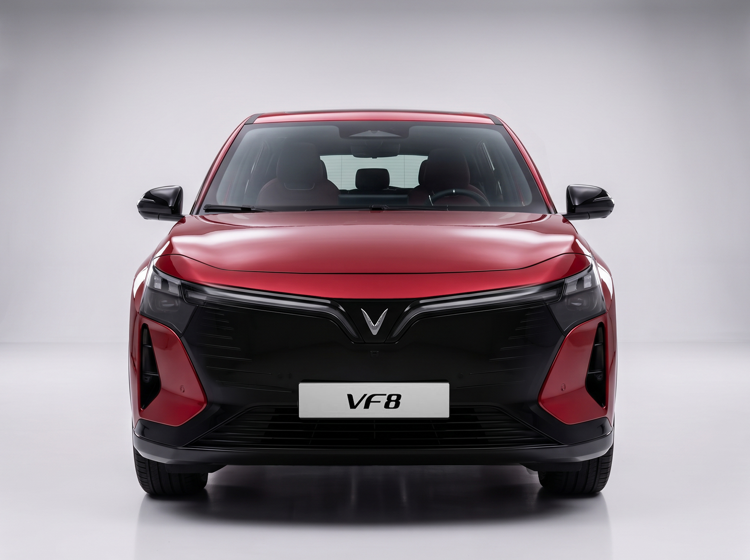 VF 8 1 (1).jpg VF 8 1 (1).jpg