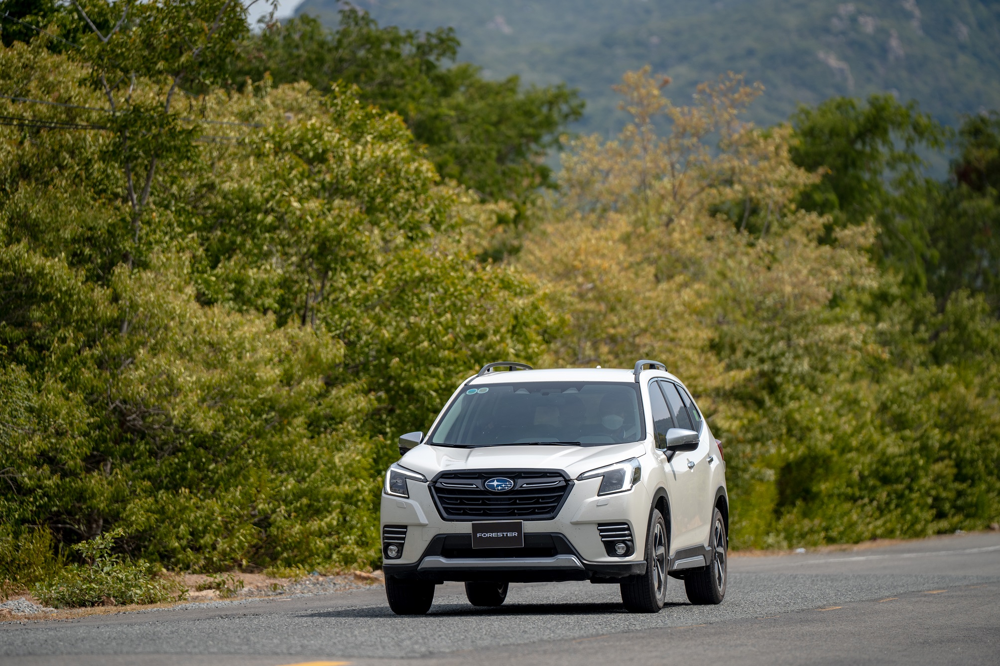 Subaru (1).jpg Subaru (1).jpg
