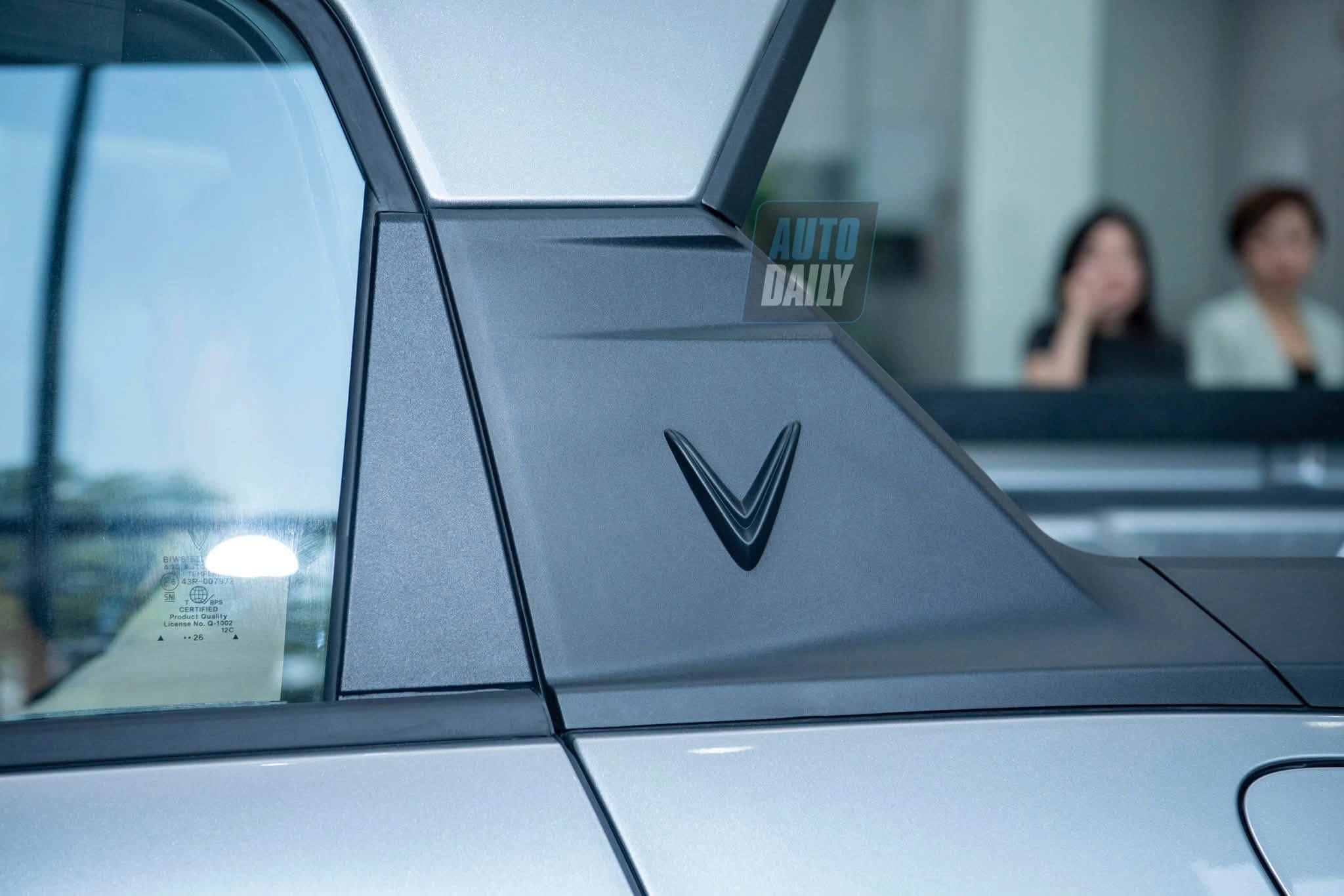 VF Wild 19.jpg VF Wild 19.jpg